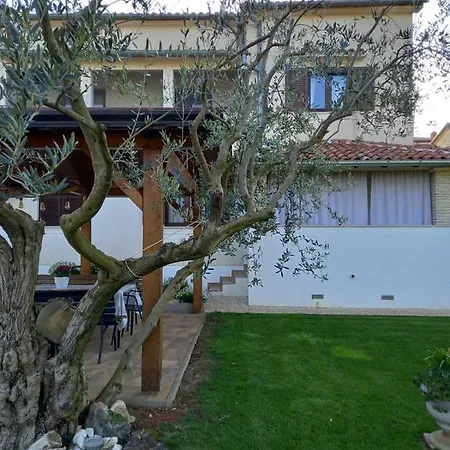 Apartment Mare Porec